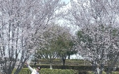 吴奇隆刘诗诗颁奖